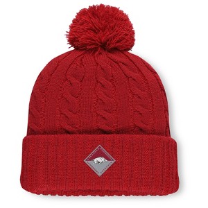 NCAA Arkansas Razorbacks Saige Knit Cuffed Pom Beanie - 1 of 2