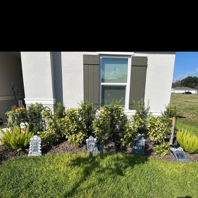 Guest review image 1 of 1, zoom in