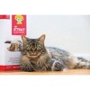 Dr. Elsey's Kitten Attract® Cat Litter - the litter cats love™