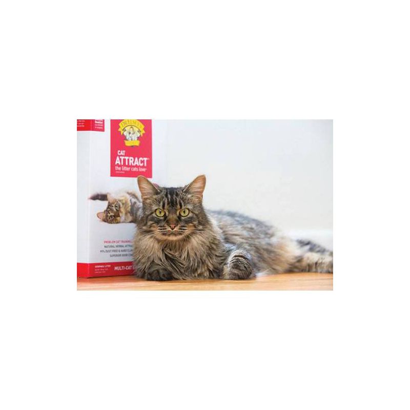 Dr. Elsey&#39;s Cat Attract Litter - 20lbs, 4 of 6