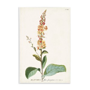 Stupell Industries Scientific Botanical Plant Wall Plaque Art - 1 of 4