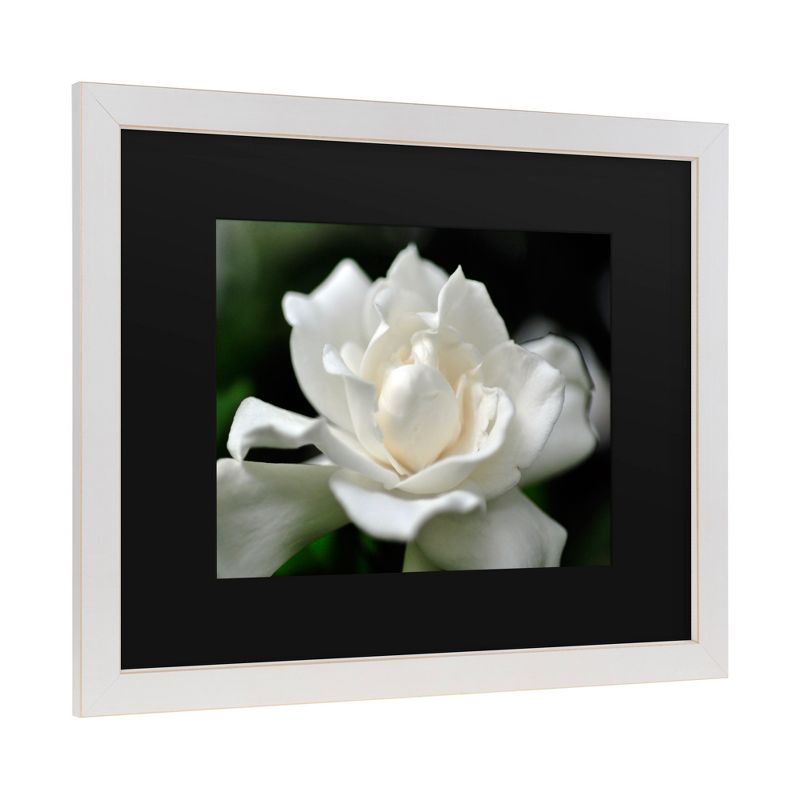 Trademark Fine Art -Kurt Shaffer 'Lovely Gardenia' Matted Framed Art, 1 of 5