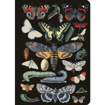 Vintage Butterflies Journal / Notebook / Diary - Lined Pages - by  New Seasons & Publications International Ltd (Paperback)