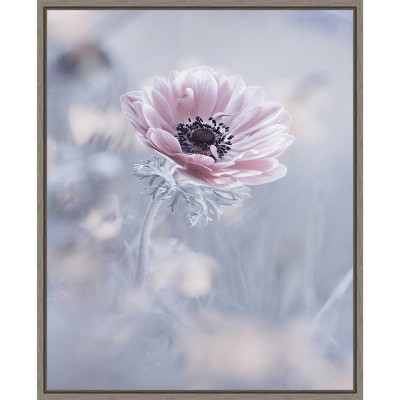 16" x 20" La Reine De Neiges Flower by Fabien Bravin Framed Canvas Wall Art - Amanti Art