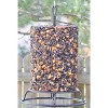 JCs Wildlife Bird Seed Cylinder Feeder - Seed Log Feeder - Works with Small or Large Seed Cylinders and Suet Cylinders - Sturdy Backyard Bird Feeder - 2 of 4