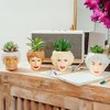 Silver Buffalo The Golden Girls Face Mini Ceramic Planter With Faux Succulent | Set of 4 - 2 of 4