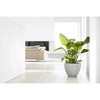 Ecopots Antwerp Durable Modern Round Indoor/Outdoor Recycled-Based Composite Flower Pot Planter - 3 of 4