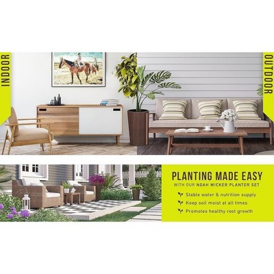 Noah Tall Mocha Resin Wicker Planter Set with Liners