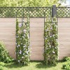 Aghana Digitals Dark Green Iron Garden Arch Towers (Set of 2) - Weatherproof, Climbing Plant - 3 of 4