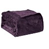 Super Comfy  Plush Chevron Arrow Embossed Jacquard Microplush Blanket - 2 of 4