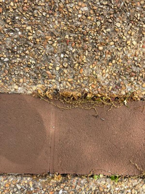 Guest review image 2 of 2, zoom in