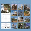 2026 Square Wall Calendar, Goats in Trees, 16-Month Animals Theme with 180 Reminder Stickers (12x12 In) - 4 of 4