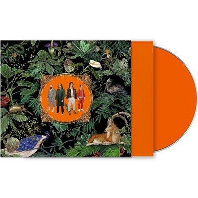 Don Broco - Amazing Things (Orange Jewel Case) (CD)