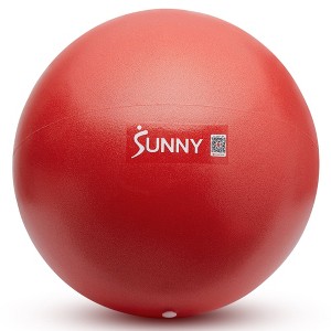Sunny Health & Fitness - Premium Exercise Ball for Yoga/Pilates - 1 of 4
