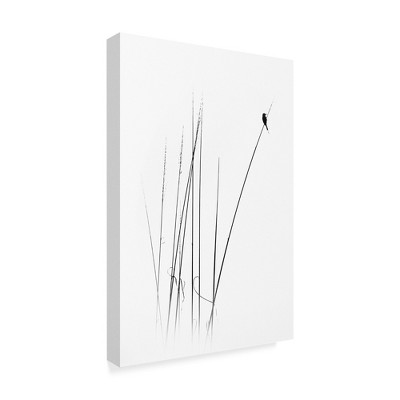 "A Sabbatical" Outdoor All-Weather Wall Decor