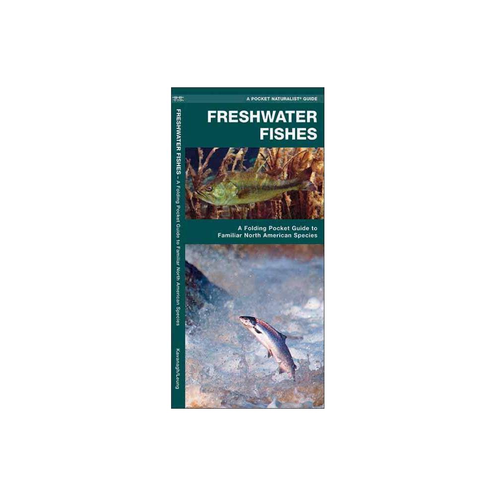ISBN 9781583551837 product image for Freshwater Fishes - (Pocket Naturalist Guides) by Waterford Press (Poster) | upcitemdb.com