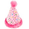 The Worthy Cat Birthday Hat Cat Toy by The Worthy Dog - 3 of 4