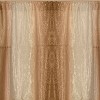 GoodGram Ombre Crushed Satin Sheer Single Window Curtains & Valances - 3 of 4