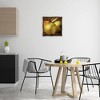 Stupell Industries Vintage Apples Close Up Floating Frame Canvas Art - 3 of 4