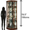 Howard Miller Marlowe Curio Cabinet 680529 Hampton Cherry - 3 of 3
