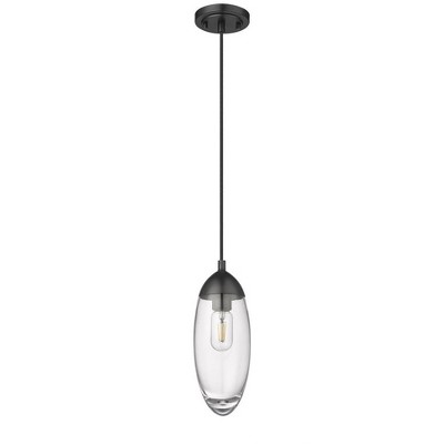 Matte Black Glass and Nickel Indoor/Outdoor Pendant Light