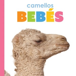 Camellos Bebés - by  Kim Thompson (Paperback) - 1 of 1