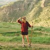 Brazos Walking Sticks Twisted Hickory Handcrafted Wood Walking Stick - ''58'' - 4 of 4