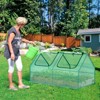 Aoodor Mini Greenhouse with 2 Zipper Doors, Portable Garden Greenhouse with Roll-up Zipper Doors, UV-Protected for Outdoor Plants, 4'x2'x2' - 2 of 4