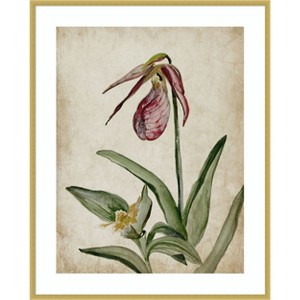 Amanti Art Elegance Unveiled II by Jacob q Wood Framed Wall Art Print - 1 of 4