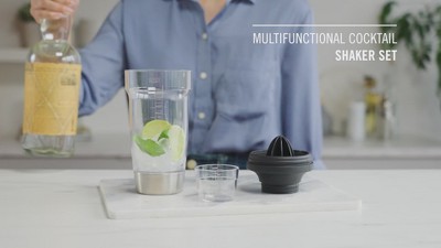 Stainless Steel and Clear All-in-One Cocktail Shaker Set