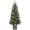 Haute Decor 4.5' Prelit Evergreen Potted Christmas Tree - 2 of 4