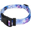 Country Brook Petz Deluxe Dog Collar - Critter Corner Collection - Made In The U.S.A. - 2 of 4
