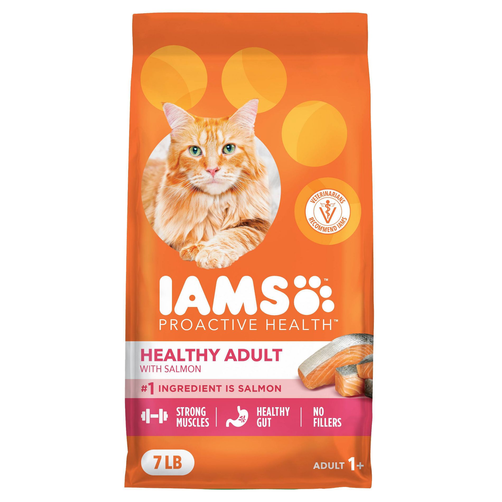 IAMS Proactive Health with Salmon Adult Premium Dry Cat Food - 7lbs