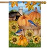 Pumpkins And Bluebirds Fall House Flag Sunflwoers Autumn 28" x 40" Briarwood Lane - 2 of 4