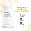 SuperSmart Antrodia Liver Health - Antrodia Mushroom  with ProAntro Antrodia Camphorata Extract | Vegan & Gluten Free - 60 Vegetarian Capsules - 4 of 4