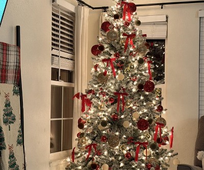 Guest review image 1 of 1, zoom in