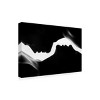 Trademark Fine Art - Hamze Dashtrazmi Men a Women Matted Framed Art - 2 of 4