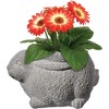 Classic Home and Garden Cement Buddies Indoor/Outdoor Planter with Drainage Hole, Rabbit - 2 of 4