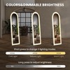 Floor Standing Illuminated Mirror with 3-Color LED Light, Bracket Included - 2 of 4