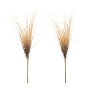 Melrose Grass Plume Bundle (Set of 2) - 1 of 4