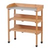 Homy Casa Outdoor Wooden Potting Bench with Metal Worktop and 2 Storage Shelves for Garden and Patio - 2 of 4