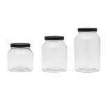 Amici Home Branson Black Glass Canisters, Assorted Set of 3