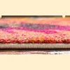 Unique Loom    Estrella Palau Area Rug - 4 of 4