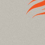 denver broncos