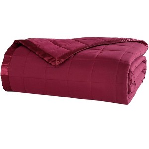 BrylaneHome Down-Alternative Blanket - 1 of 2