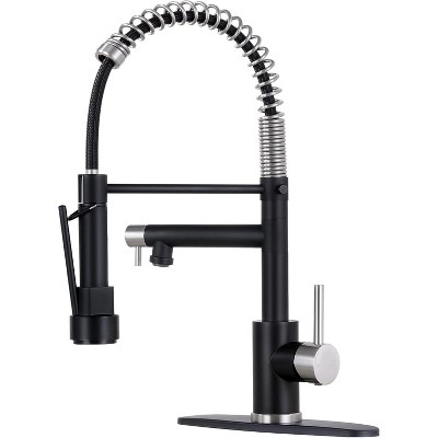 Qomolangma 17.5in Contemporary Kitchen Faucet with Pull Down Sprayer