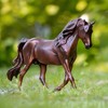 Breyer Animal Creations Breyer Traditional 1:9 Scale Model Horse | MorganQuest Native Sun - 4 of 4