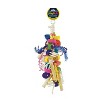 Prevue Pet Products 60062475: Bodacious Bites Banquet Bird Toy - 2 of 2