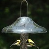 Aspects Fancy Swirl Squirrel-Proof Dome for Bird Feeders, 14in Diameter - 2 of 3