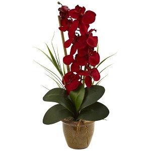 Nearly Natural 21-in Phalaenopsis Orchid Silk Arrangement in Ceramic Vase - 1 of 2